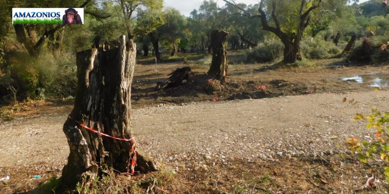 Η καταστροφή της Δασιάς από το IKOS των Ανδρεάδηδων – Για την ανάπτυξη ρε γαμώτο!